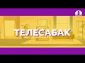 1-класс  | Математика |   Сандан мурунку жана кийинки сандар