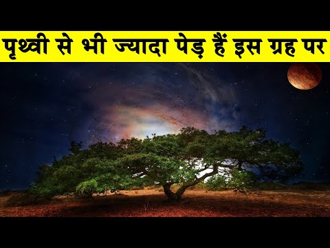 वीडियो: विश्व वृक्ष ही समस्त लोकों का आधार है