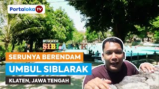 Serunya Berendam di Kolam Renang Terasering Umbul Siblarak Klaten, Jawa Tengah