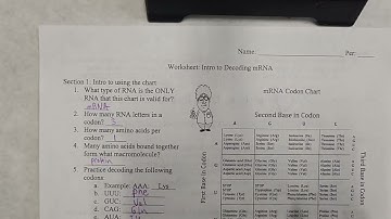 Video Key Worksheet Intro to Decoding mRNA