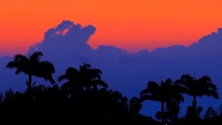 200th Special - Mauritius - Somewhere only we know