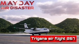 Air crash investigation S20E08 No warning [English] (1080p) 