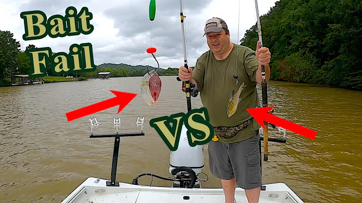 Live vs Cut Bait Flathead Catfish Challenge #fail