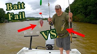 Live vs Cut Bait Flathead Catfish Challenge #fail