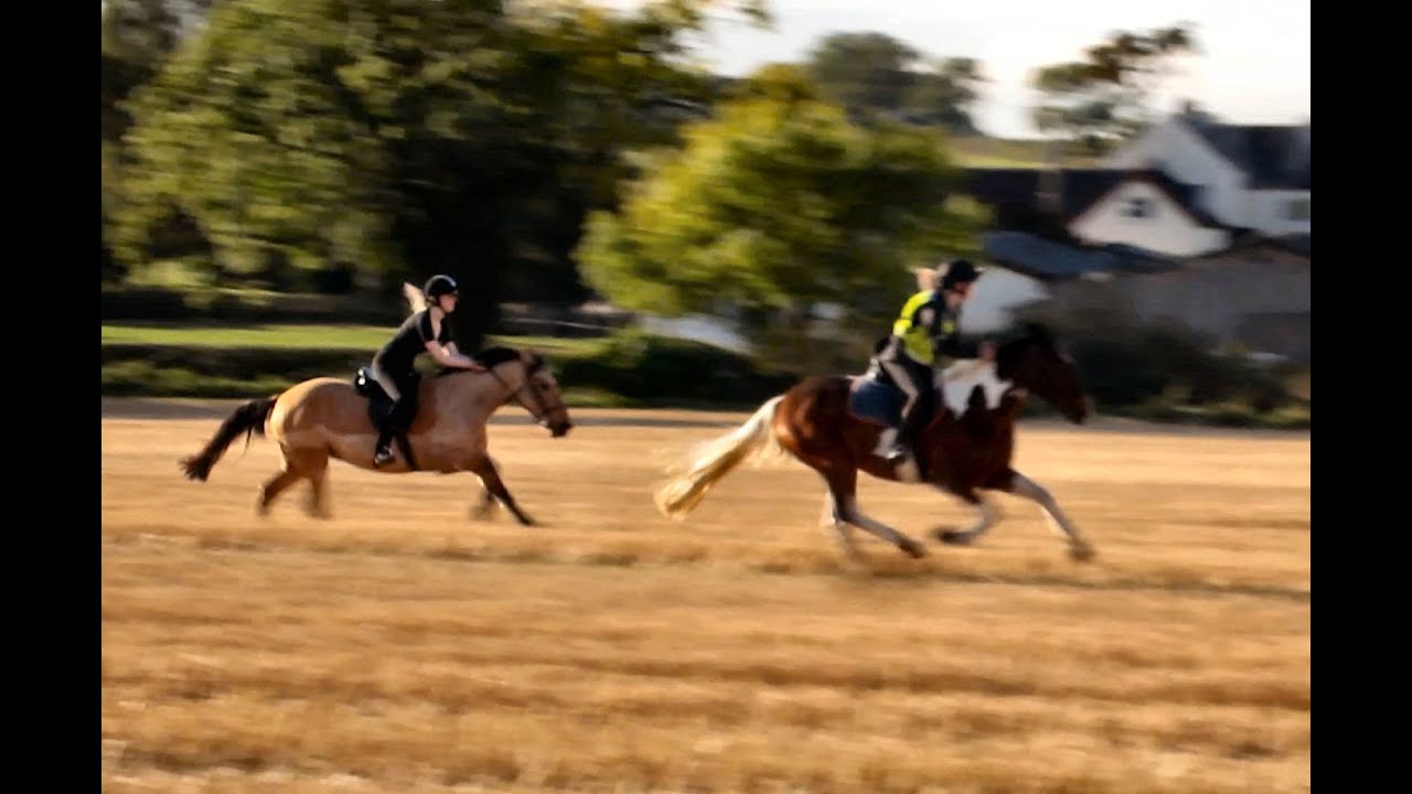 riding a horae at full gallop