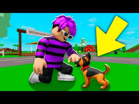 NUEVA ACTUALIZACIÓN DE LAS MASCOTAS en BROOKHAVEN