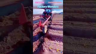 #asmr #satisfying #oddlysatisfying #factory #fpy