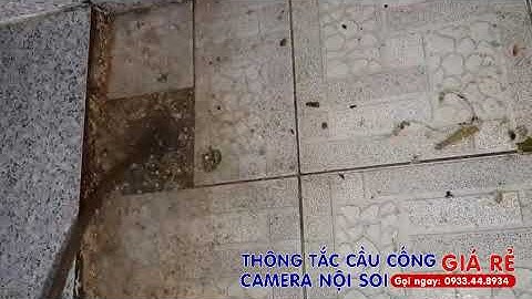 Thông tắc cầu cống, Camera nội soi 107