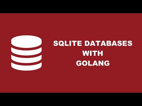 Using A SQLite Database For Local Data In A Golang Application