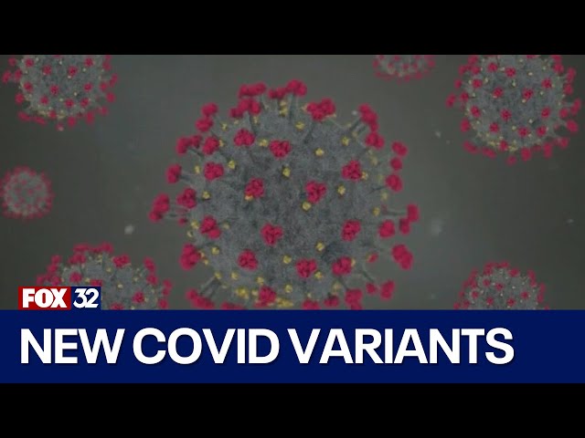 New COVID FLiRT variants spread across U.S.: Here
