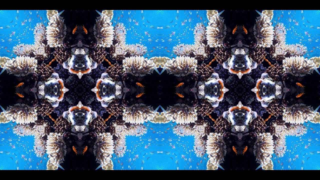Kaleidoscope Fish and Corals #2 | 2K Oceanic Visual Art | Marine Life