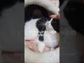 赤ちゃんだった時