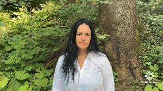 FTHub Certified Forest Bathing Guide Training