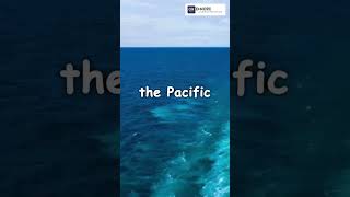 Thermohaline Circulation! #wondersofworld #science #shortsvideo #youtubeshorts #dnote