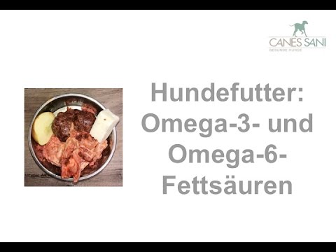 Video: Welche Hundefuttermarken enthalten Omega-6-Fettsäuren?