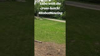 Luba 2 AWD cross-hatch! #mower #mowing #asmr #luba #mamotion #fyp #fypシ゚viral #foryou