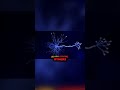Your Mind Is a Supercomputer – And You Never Knew It