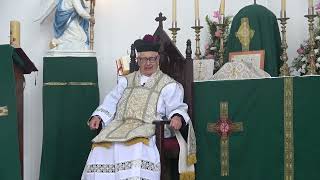 Download Lagu 1785-Profetas simpáticos. Una esperanza en la Virgen del Carmen. El celo de tu casa. Verdadero León MP3 Download Lagu 1785-Profetas simpáticos. Una esperanza en la Virgen del Carmen. El celo de tu casa. Verdadero León MP3