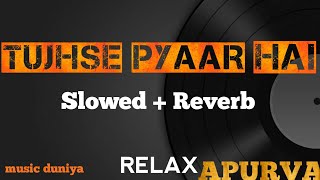 Tujhse pyar hai - Slowed   reverb / Apurva movie | Vishal Mishra