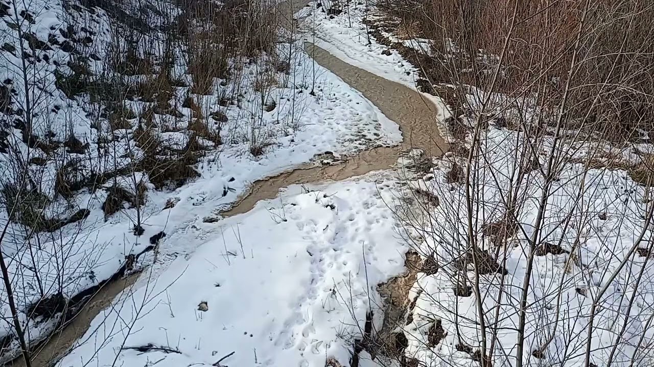 Snowy Mountain River | Real Water Sounds for Sleep & Relaxation (Not AI)