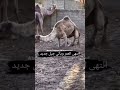 انتهى العمر وسيأتي جيل جديد
