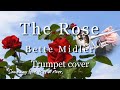 Capture de la vidéo The Rose ～Bette Midler ～Trumpet Cover