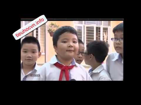 Ý nghĩa của việc đánh giá bằng nhận xét cho học sinh tiểu học - youtube