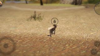 تحميل لعبه Lion Simulator 2 بدون انترنت للاندرويد screenshot 2