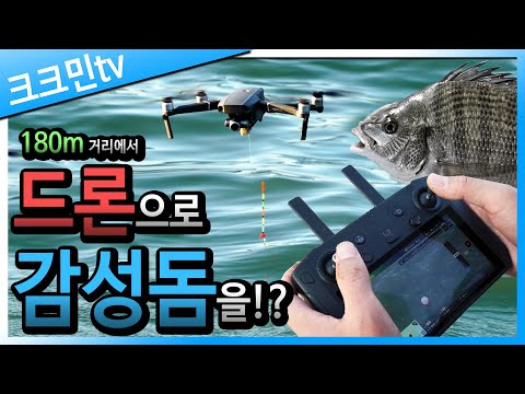 드론 낚시 / 감성돔 / 학꽁치 / 막대찌