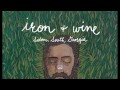 Iron  wine  sodom south georgia