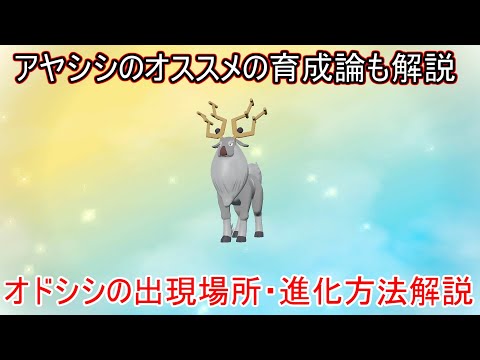 ポケモンレジェンズアルセウス オドシシ アヤシシの入手方法 進化方法とアヤシシのオススメの育成方法解説 捕獲方法 ゲット方法 出現場所 捕まえ方 レジェンズアルセウス 攻略 実況 Youtube