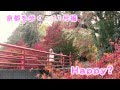 Download 京都を歩く 11月編 『happy?』 kyoto Journey 京都を歩く 11月編 『happy?』 kyoto Journey