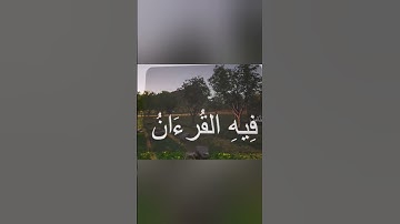 عبد الباسط عبد الصمد#اكسبلور #قرآن #القرآن_الكريم #عبدالباسط_عبدالصمد #تلاوة_خاشعة #quran