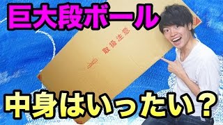 巨大段ボールが届いた！中身はいったい！？
