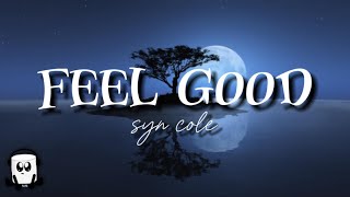 Syn cole - Feel good (no copyright music)