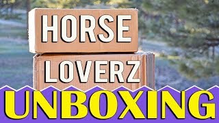 My First Ever Horse LoverZ Unboxing