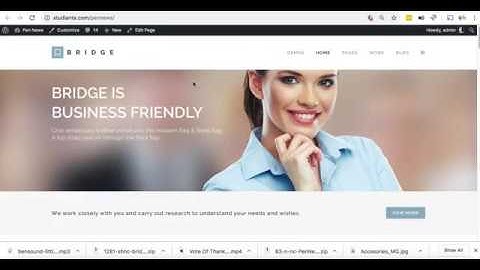 Multipurpose WordPress Bridge theme Installation and Business Demo Content Import.
