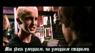 картинка: Верона