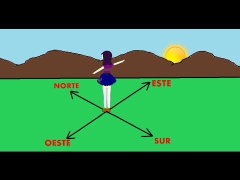 Video: Cómo Determinar Dónde Están El Norte, Sur, Oeste Y Este