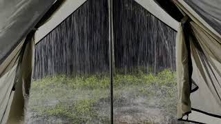 Fall Into Sleep In A Tent On Rainy Night | Heavy Rain On Tent \& Powerful Thunder Sounds In Forest