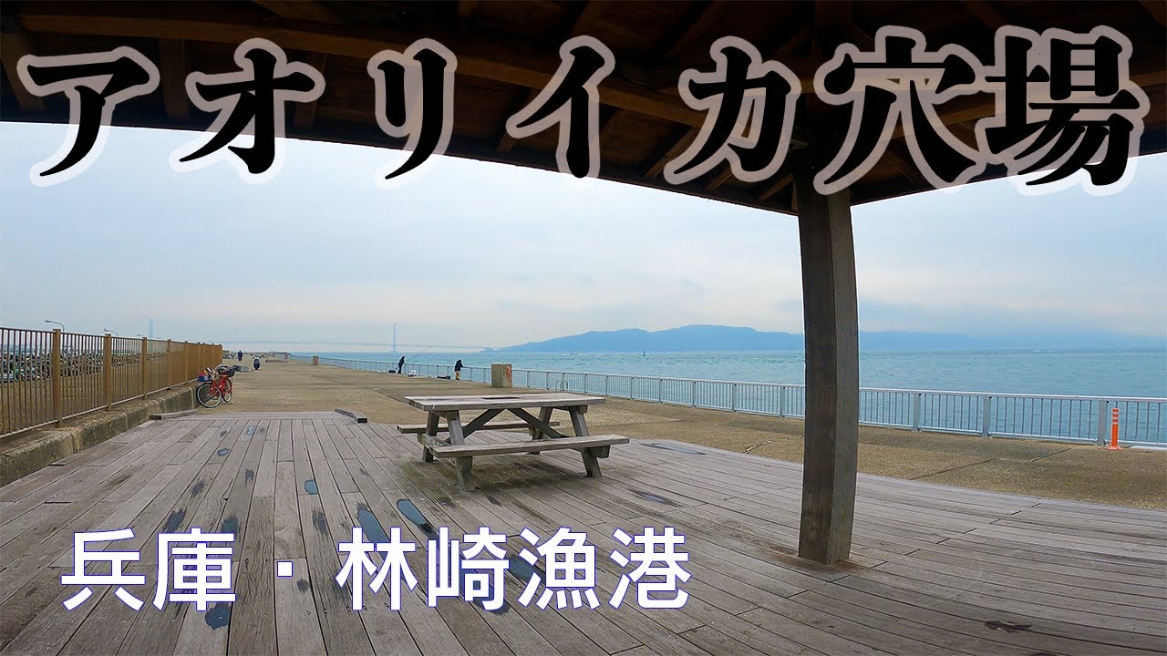 【釣り場動画#116】兵庫の意外なアオリイカ穴場！？明石海峡の眺めながら家族釣りも楽しめる林崎漁港
