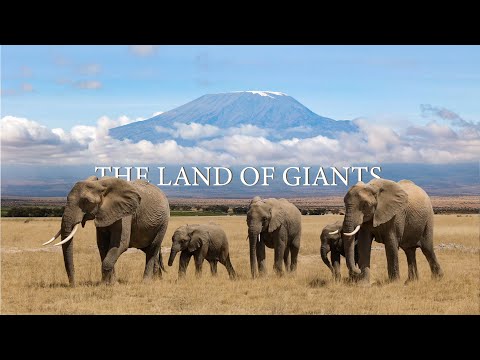 Our Journey to AMBOSELI 2021 🇰🇪 Safari Vlog