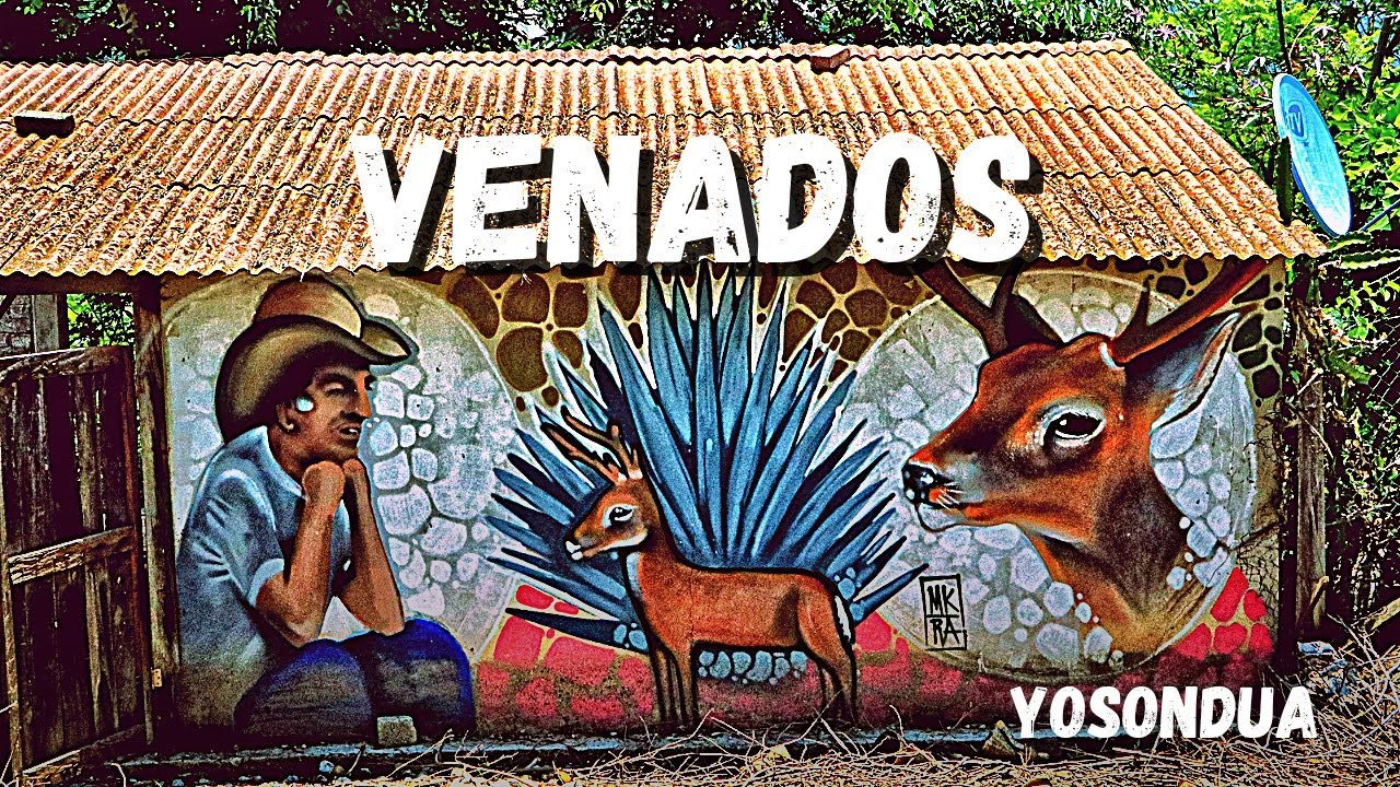 La casa de los  VENADOS y el MEZCAL Yerba Santa YOSONDUA [S01/E15] 