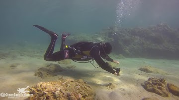 UTD Z-Trim single tank