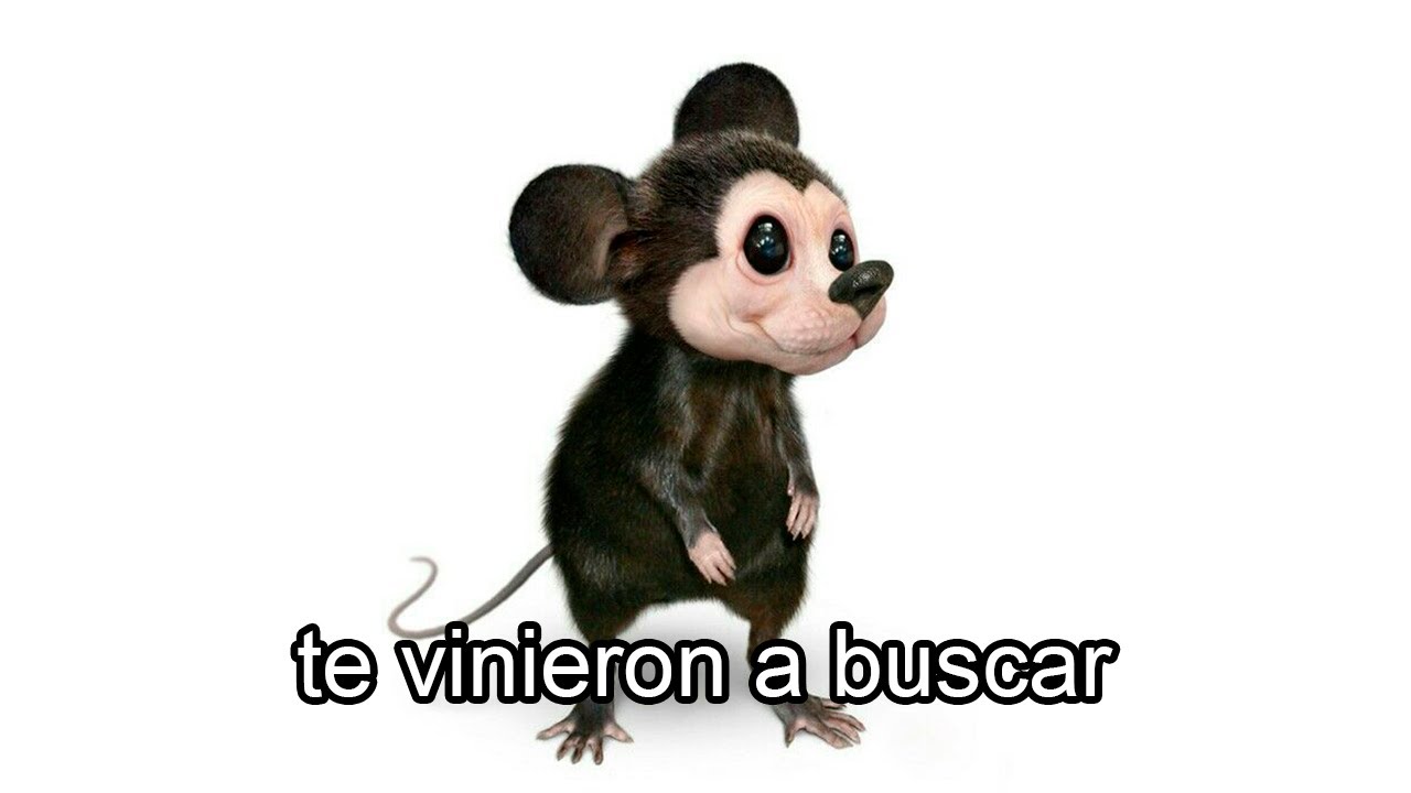 MEMES MUY XD #65
