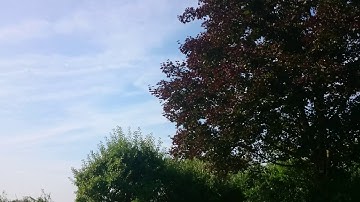 APM Alt hold problems