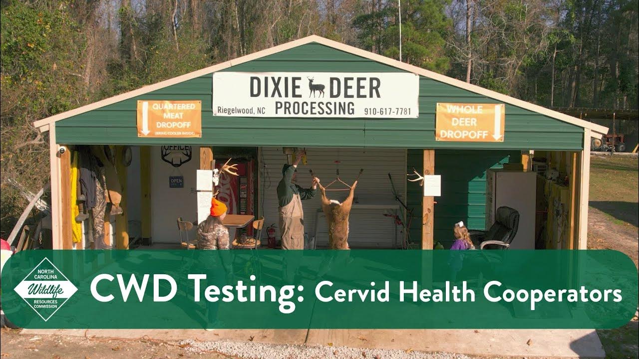 CWD Testing Cervid Health Cooperators YouTube