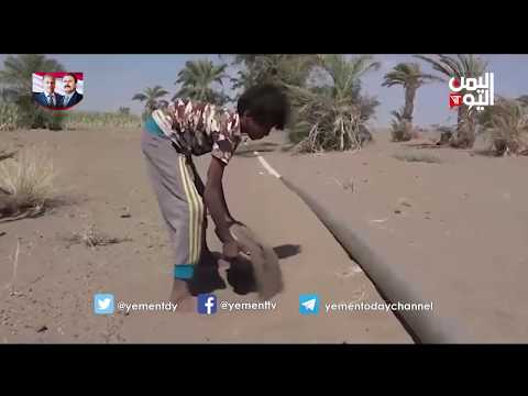 الحديدة طفل يفقد عين ويده بانفجار لغم