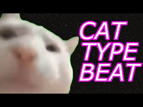 Cover I made a beat with cat noises. (cat meow rap meme original song)