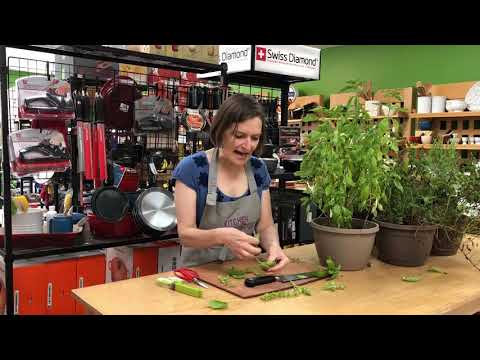 How to Pick Fresh Herbs